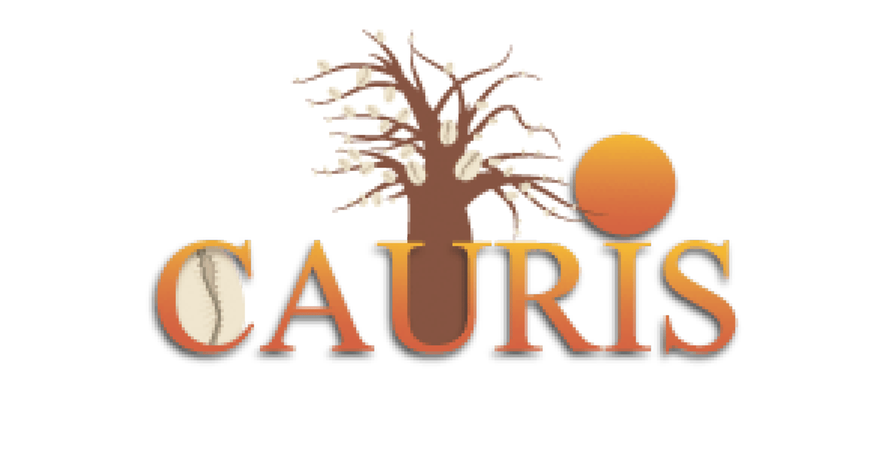 Cauris